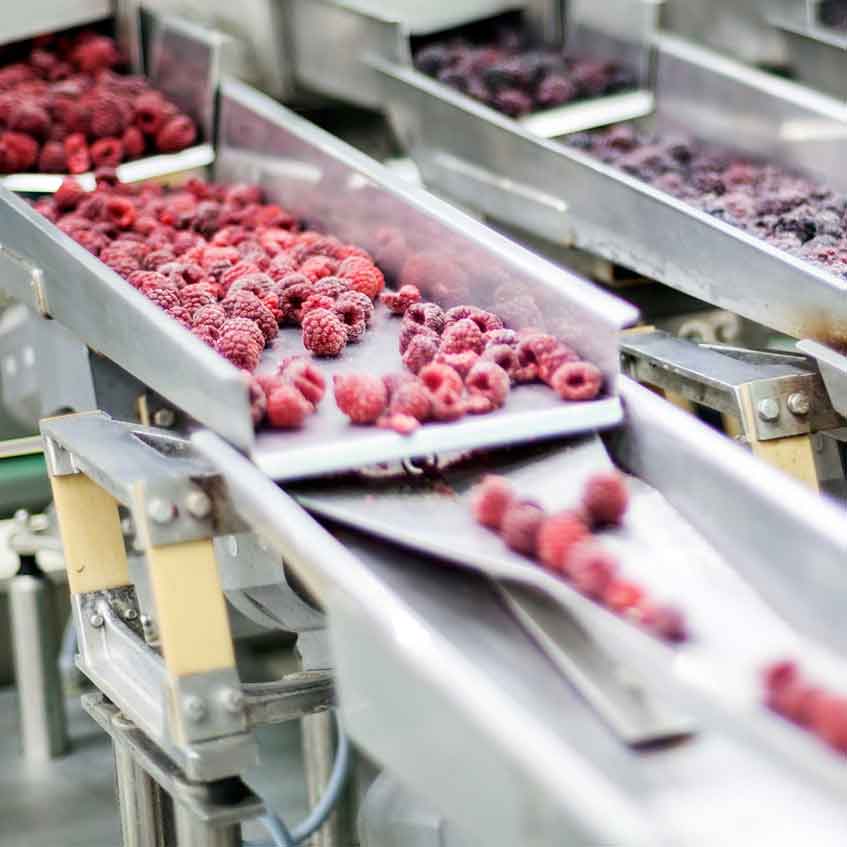 Frozen raspberries in a factory